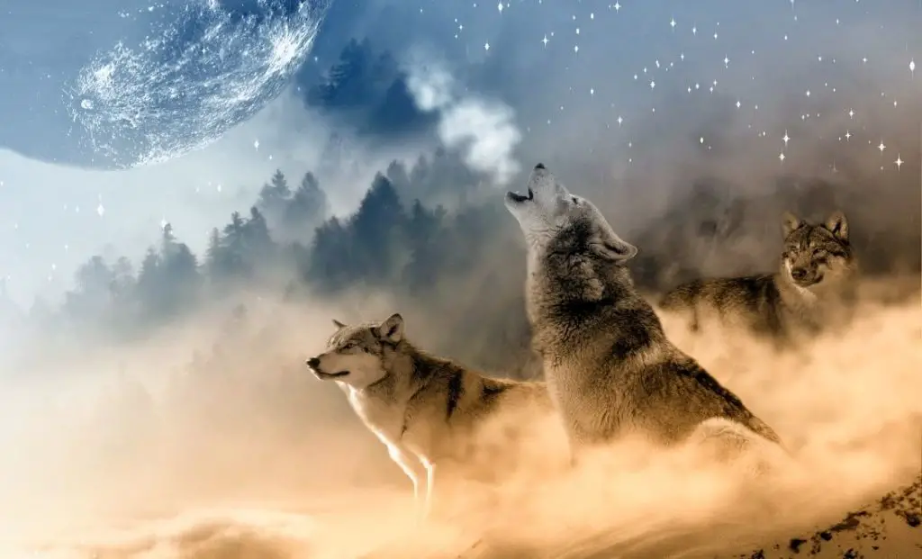 Wolf: Spiritual Meaning, Dream Meaning, Symbolism & More