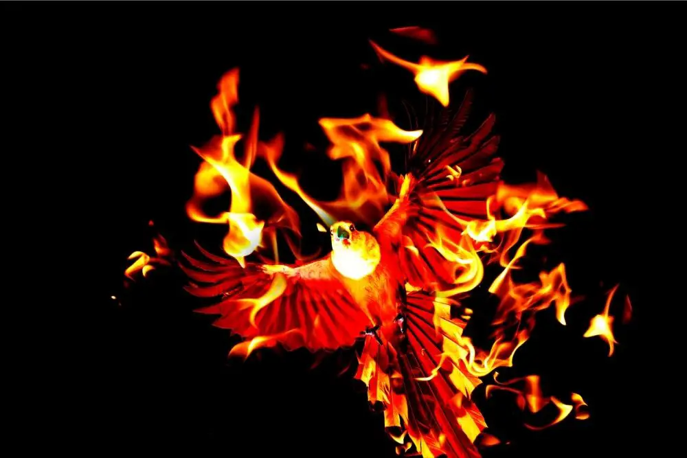phoenix spiritual meaning
