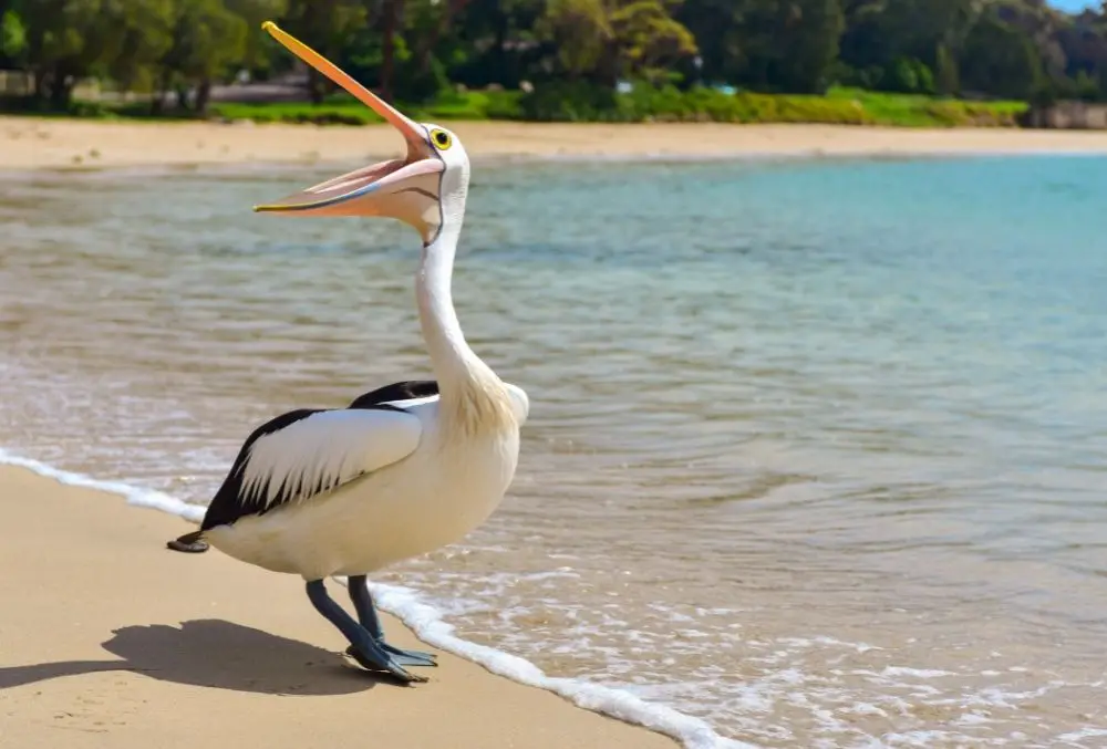 Pelican: Spiritual Meaning, Dream Meaning, Symbolism & More