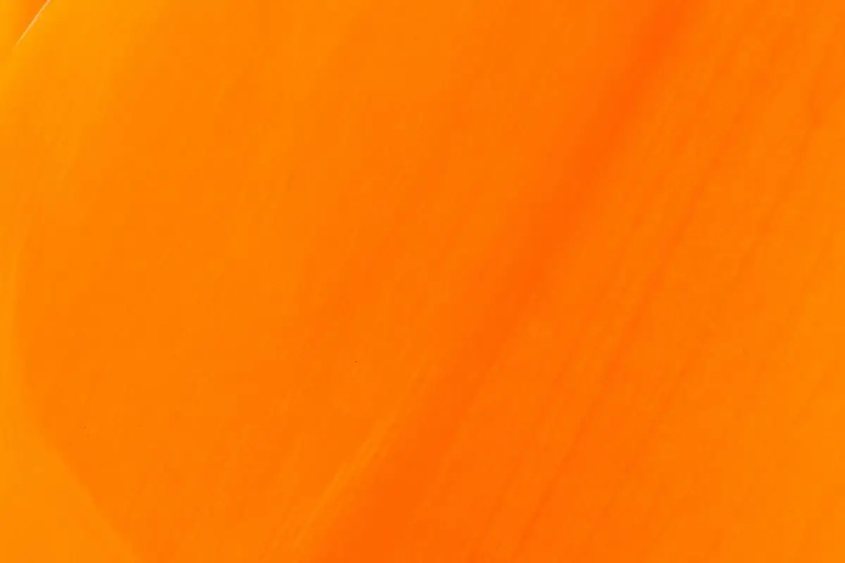 Orange Color Personality