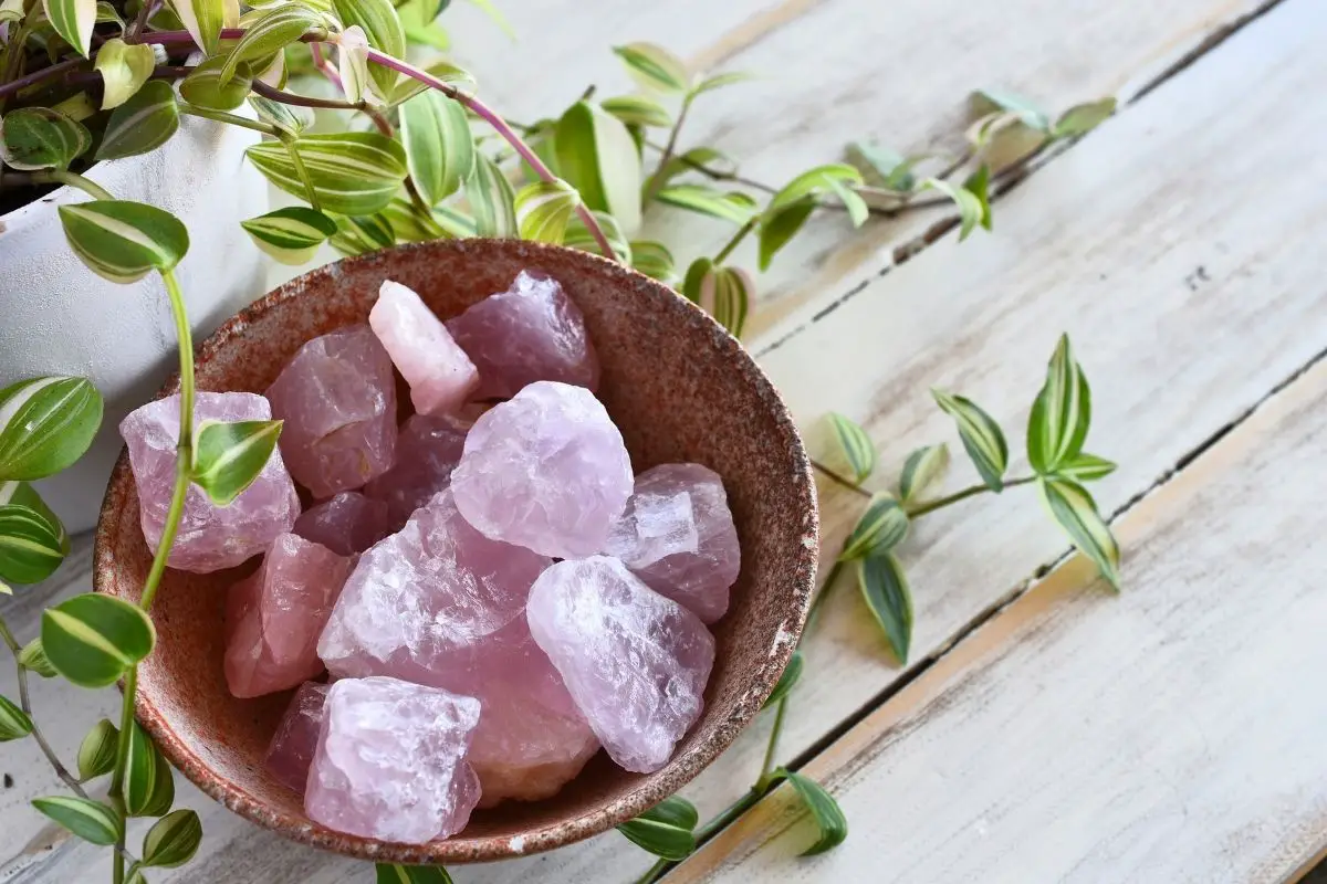 A Beginners Guide To Crystals - 5 Crystals Perfect For Beginners