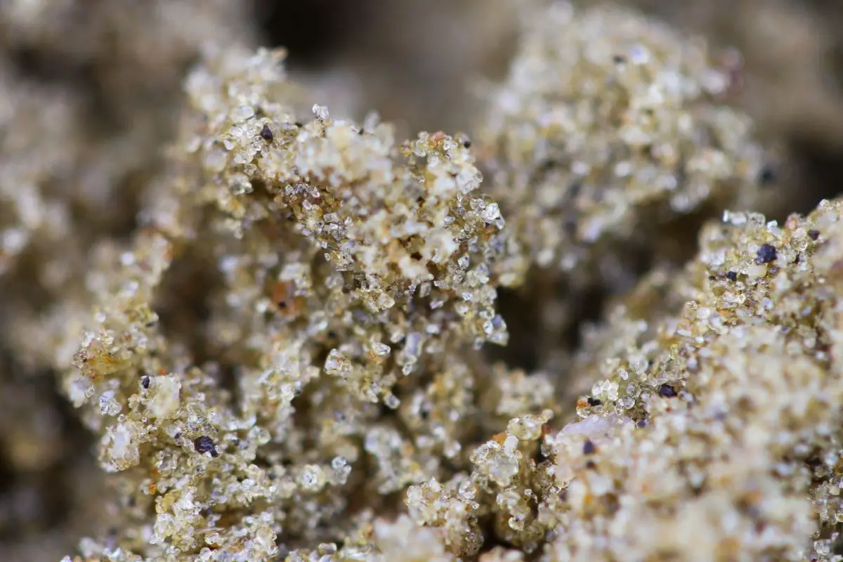 The Supreme Guide To The Stunning Sand Crystals You Need In Your Life