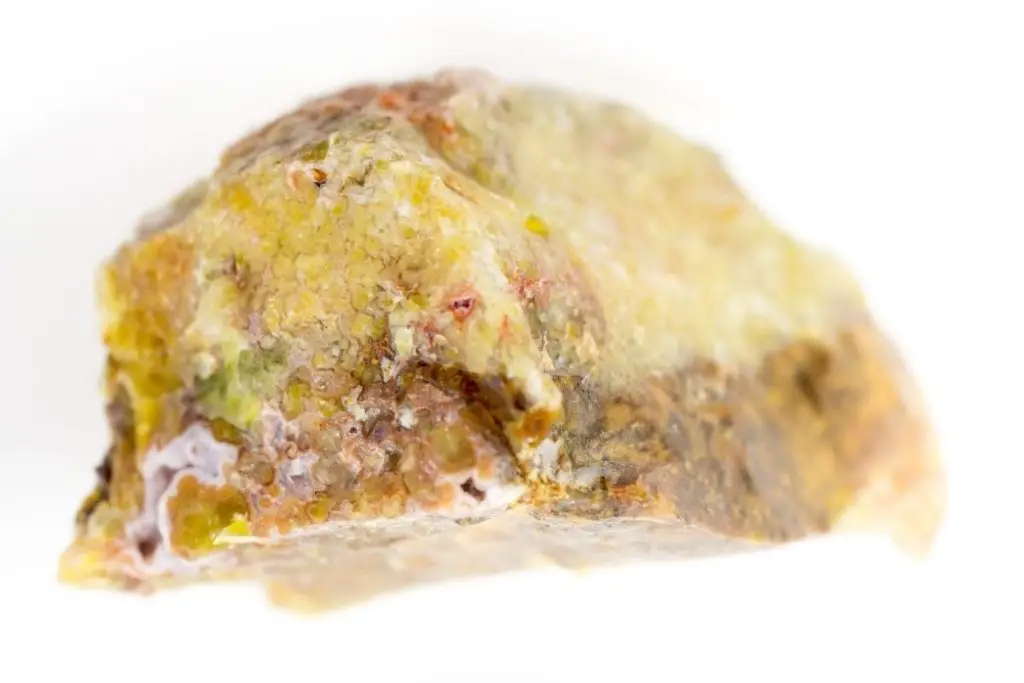Yellow Moss Opal