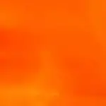 The Beautiful Orange Color And It's Meaning (With Pictures)