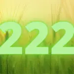 Angel Number 222 Meaning: A New Day for Positive Changes