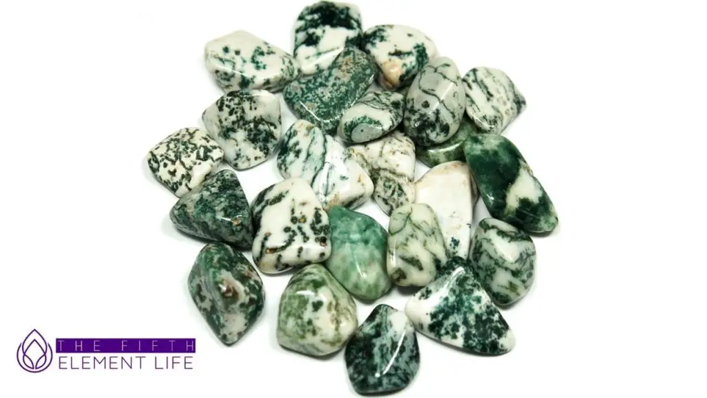 Tree Agate Meaning and Symbolism
