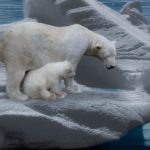 Polar Bear: Spiritual Meaning, Dream Meaning, Symbolism and more