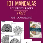 Mandalas 101: A Guide To The World Of Mandalas & How They Can Improve Your Life (FREE DOWNLOAD)