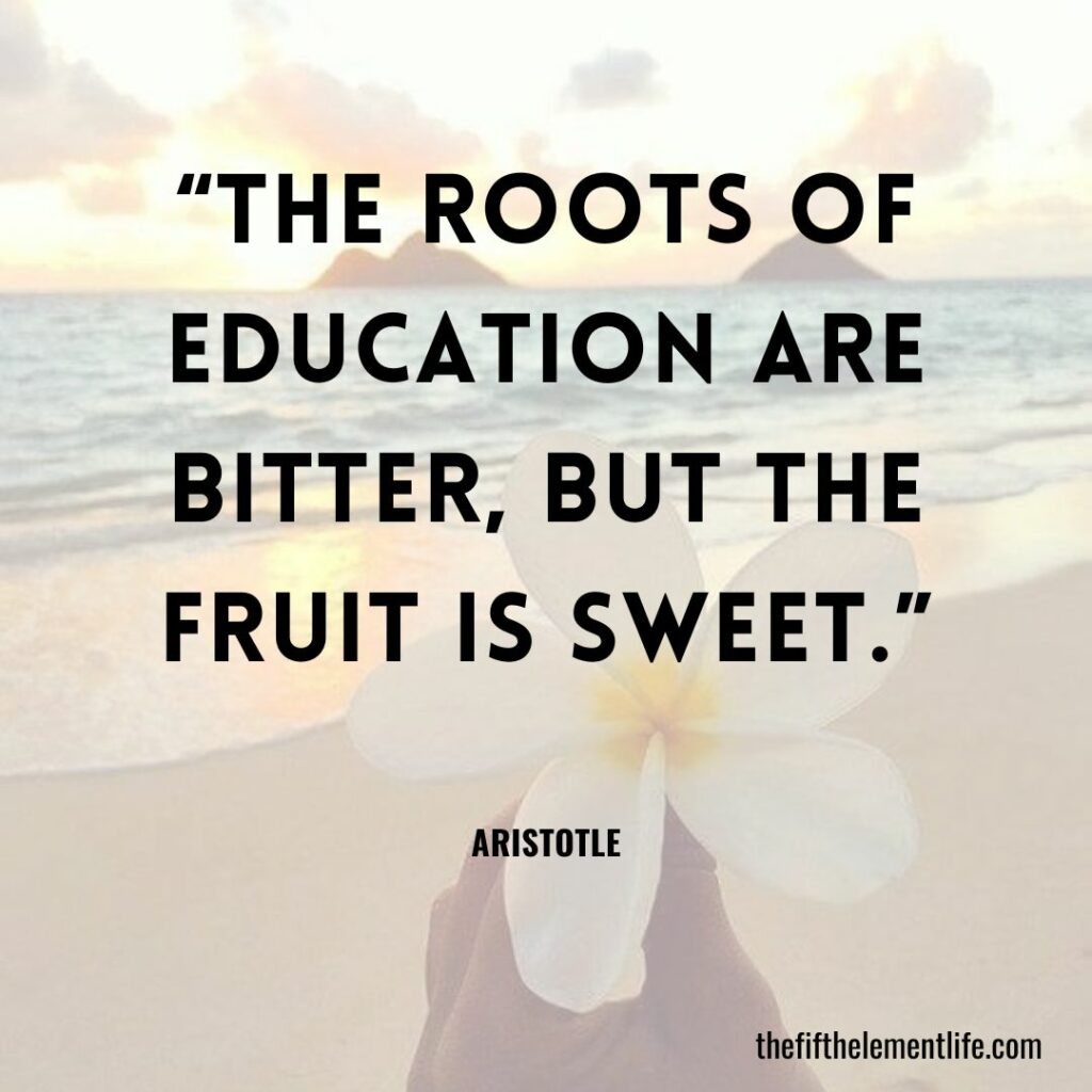 roots of education