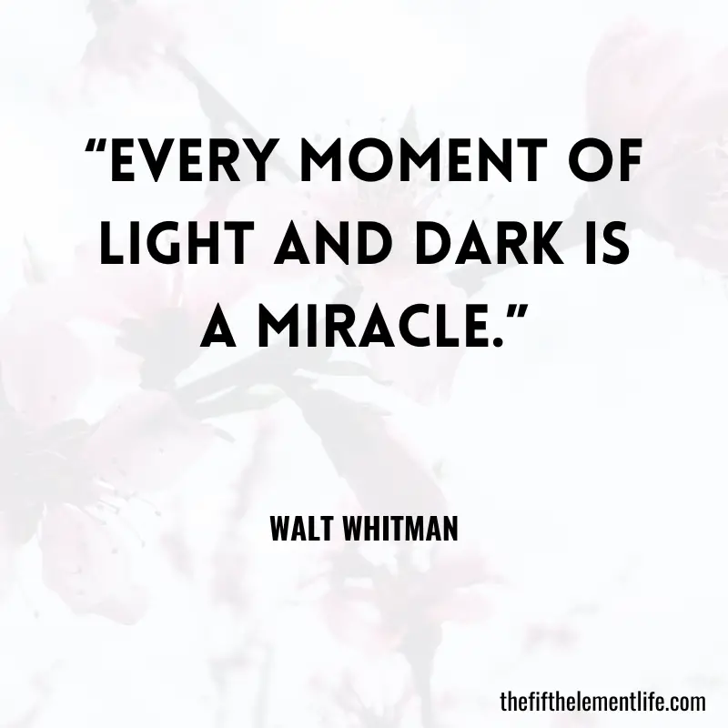 Best Quotes About Darkness and Light