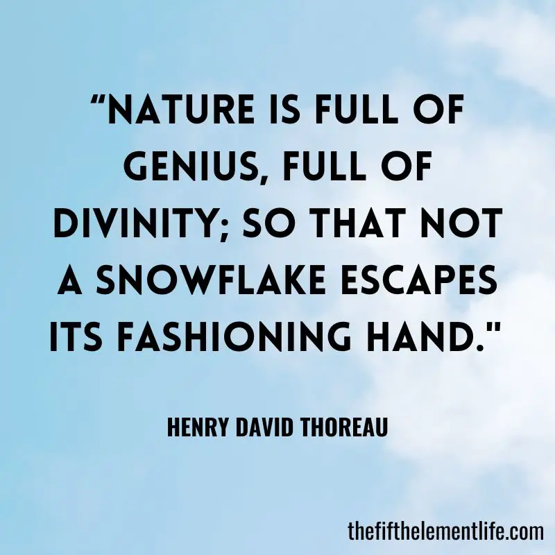 “Nature is full of genius, full of divinity; so that not a snowflake escapes its fashioning hand.” ― Henry David Thoreau