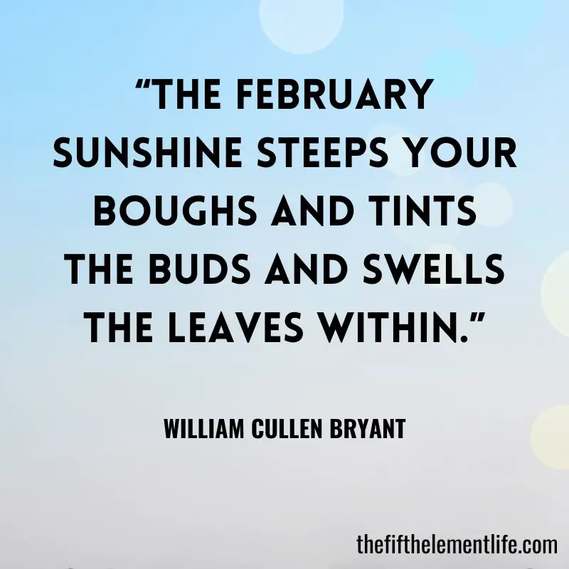 “The February sunshine steeps your boughs and tints the buds and swells the leaves within.” -William Cullen Bryant