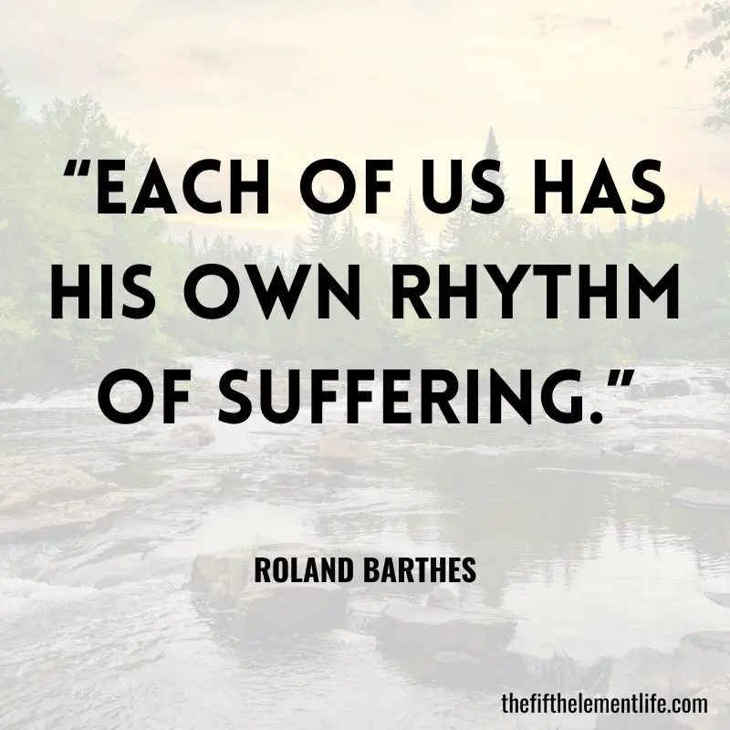 “Each of us has his own rhythm of suffering.” ― Roland Barthes
