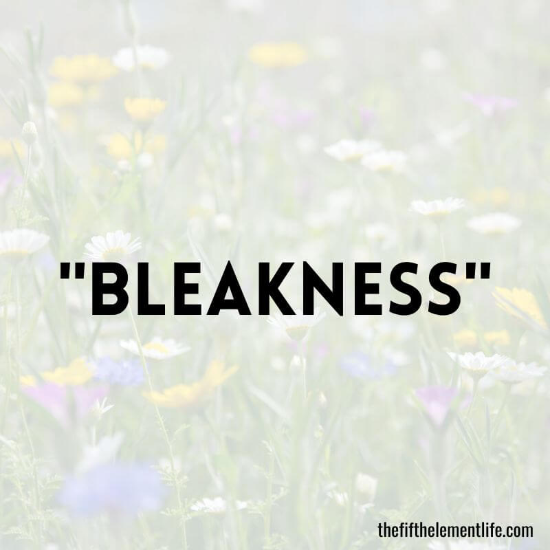 "Bleakness" - Negative Words That Start With “B”