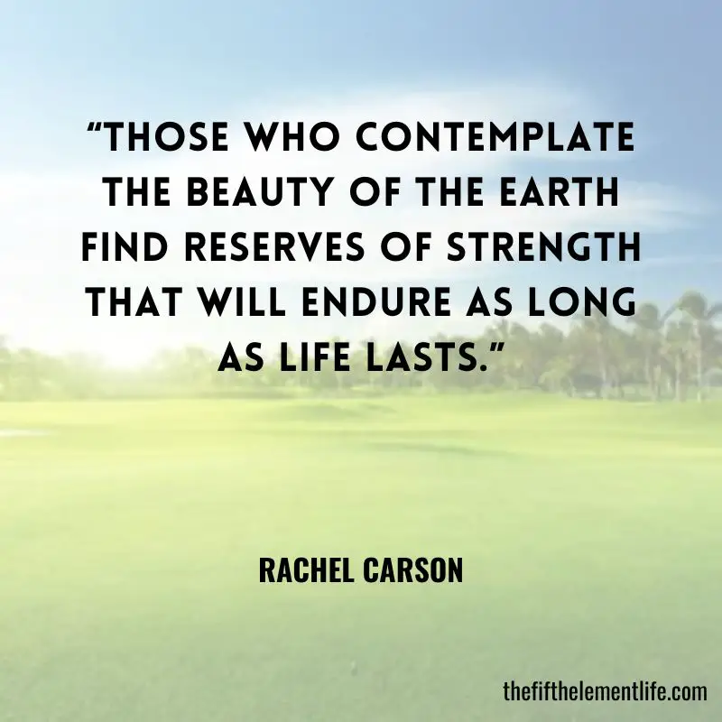 Quotes About Strength And Beauty