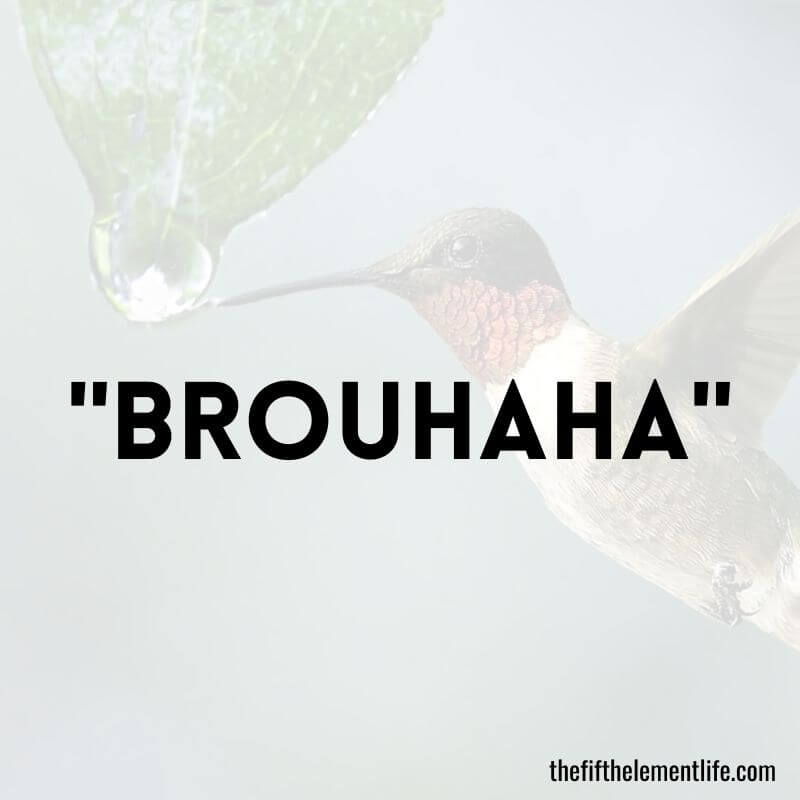 "Brouhaha" - Negative Words That Start With “B”