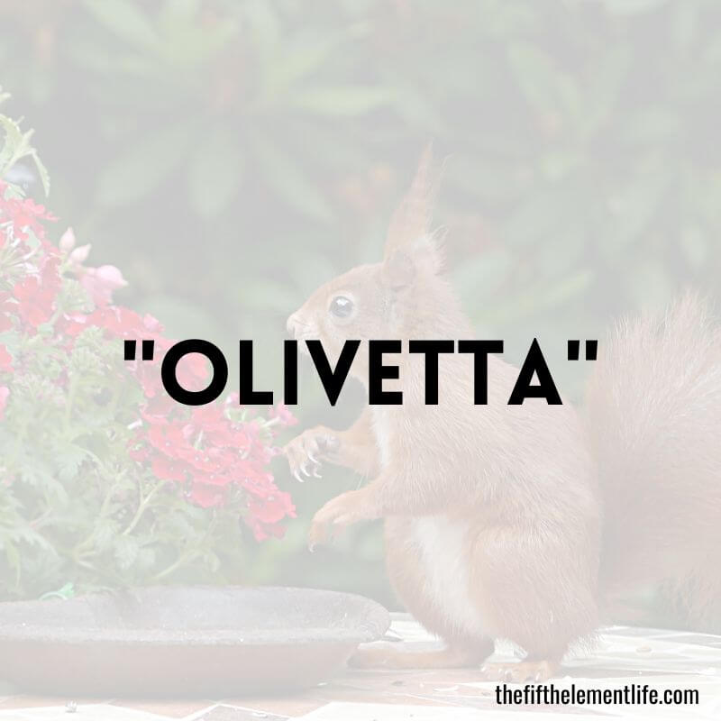 "Olivetta" - Negative Words That Start With O