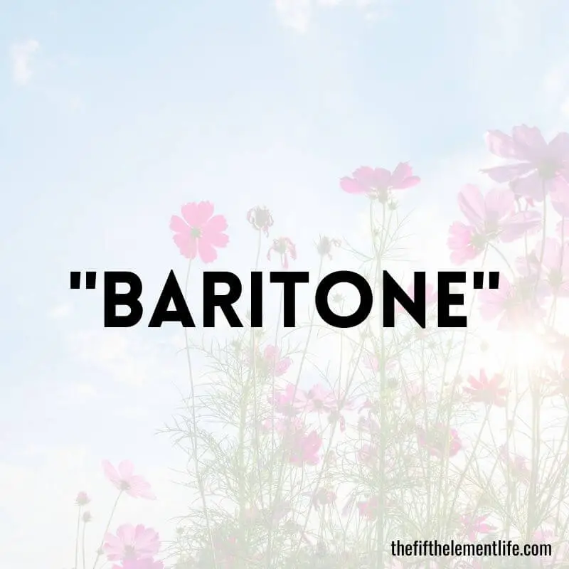 "Baritone" -n Negative Words That Start With “B”