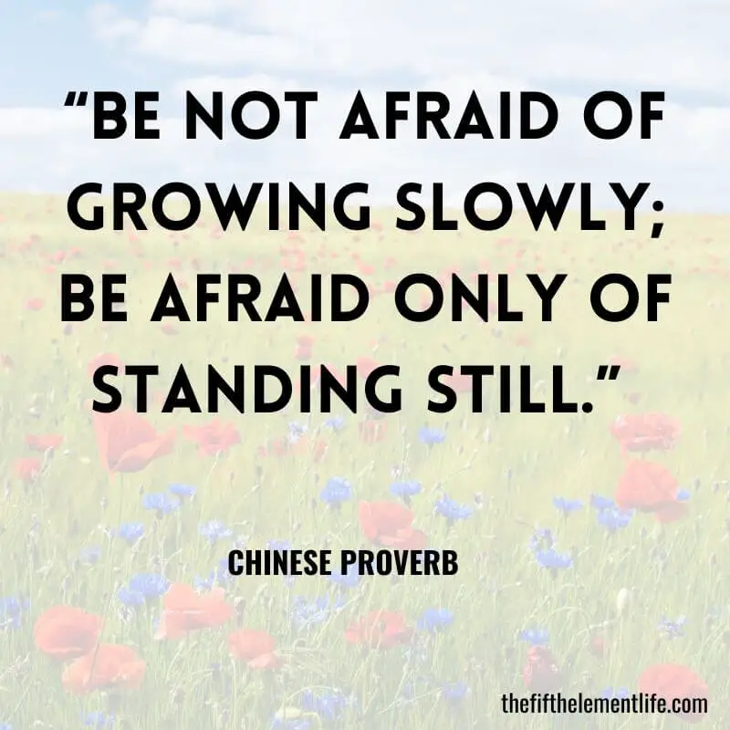 “Be not afraid of growing slowly; be afraid only of standing still.” 