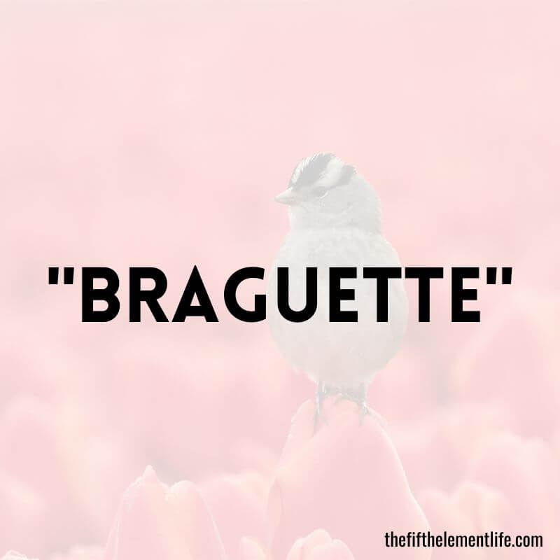 "Braguette"