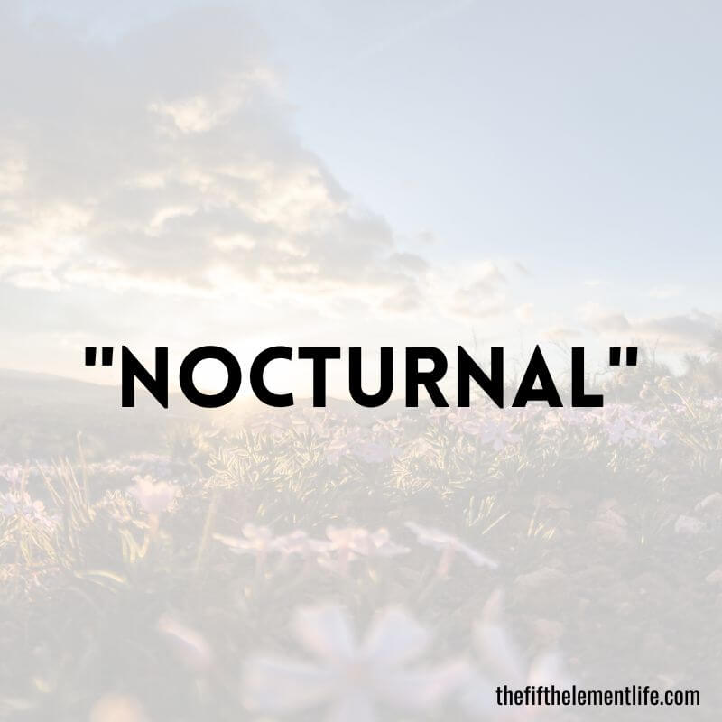 "Nocturnal"