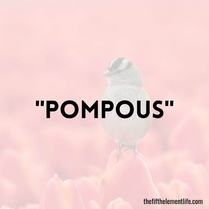 "Pompous"