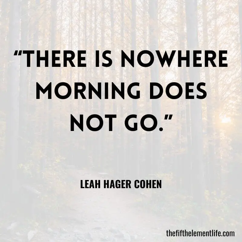  “There is nowhere morning does not go.” ― Leah Hager Cohen