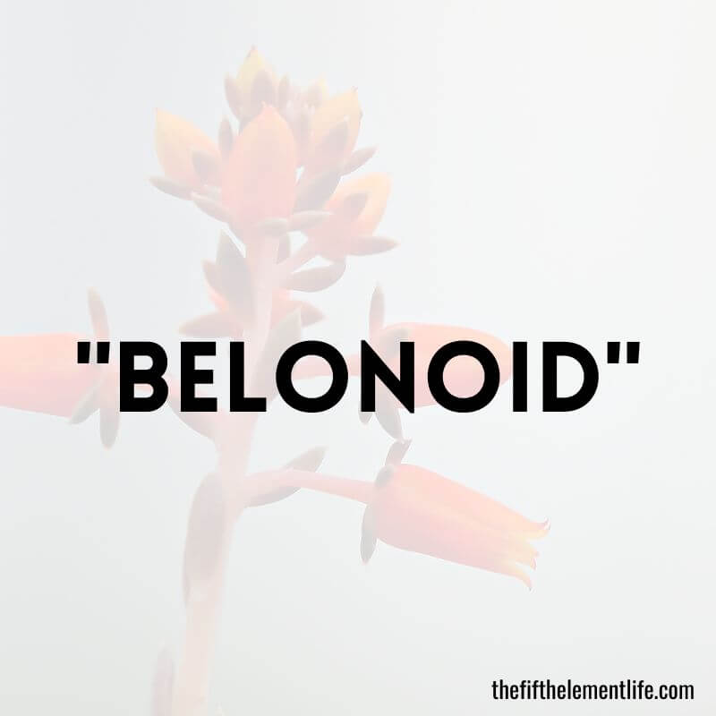 "Belonoid"