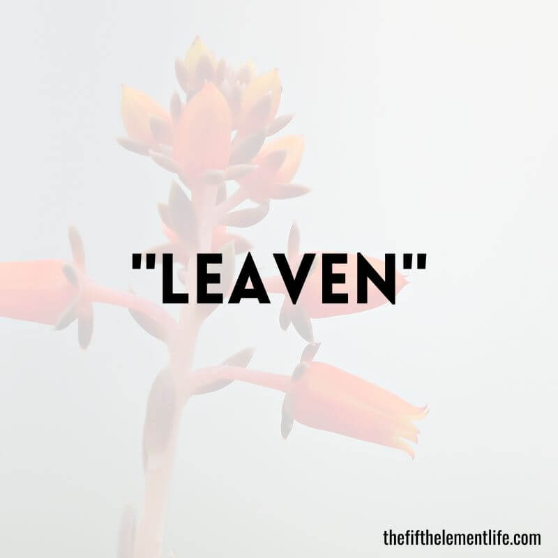"Leaven"