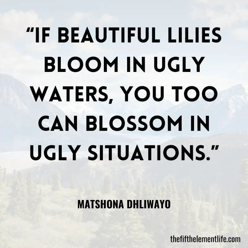 “If beautiful lilies bloom in ugly waters, you too can blossom in ugly situations.”― Matshona Dhliwayo