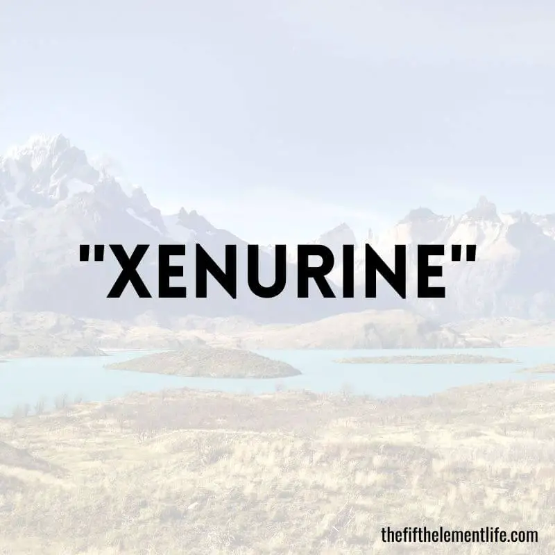 "Xenurine"