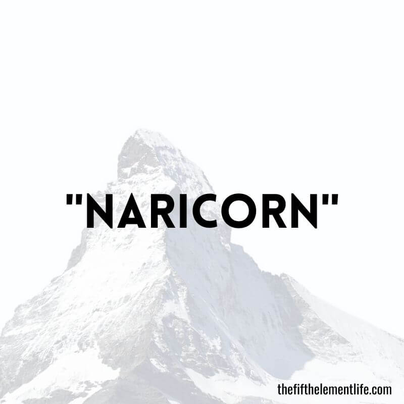 "Naricorn"