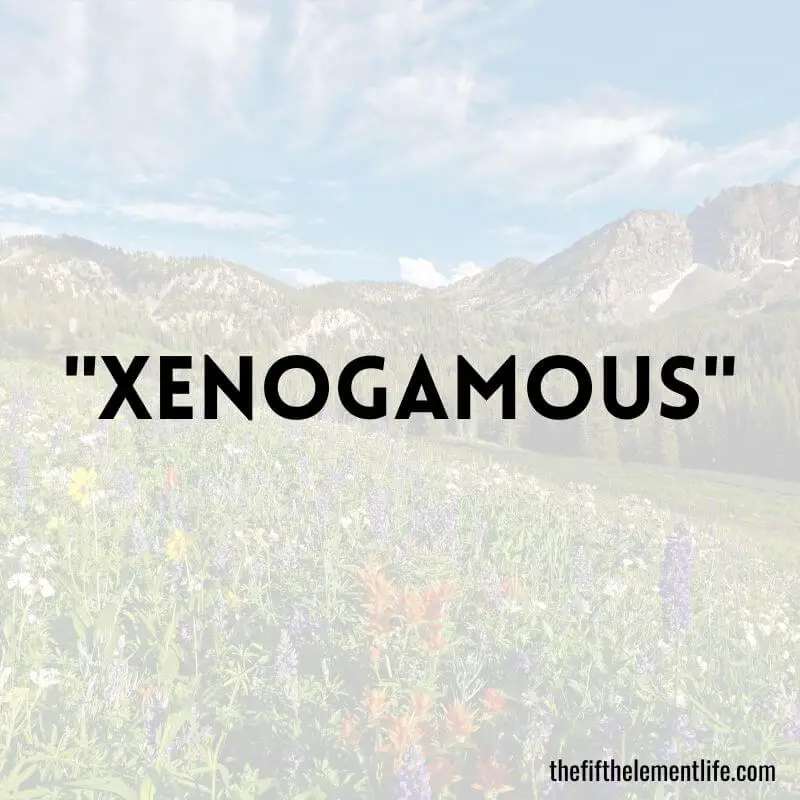 "Xenogamous" - Positive Words That Start With X