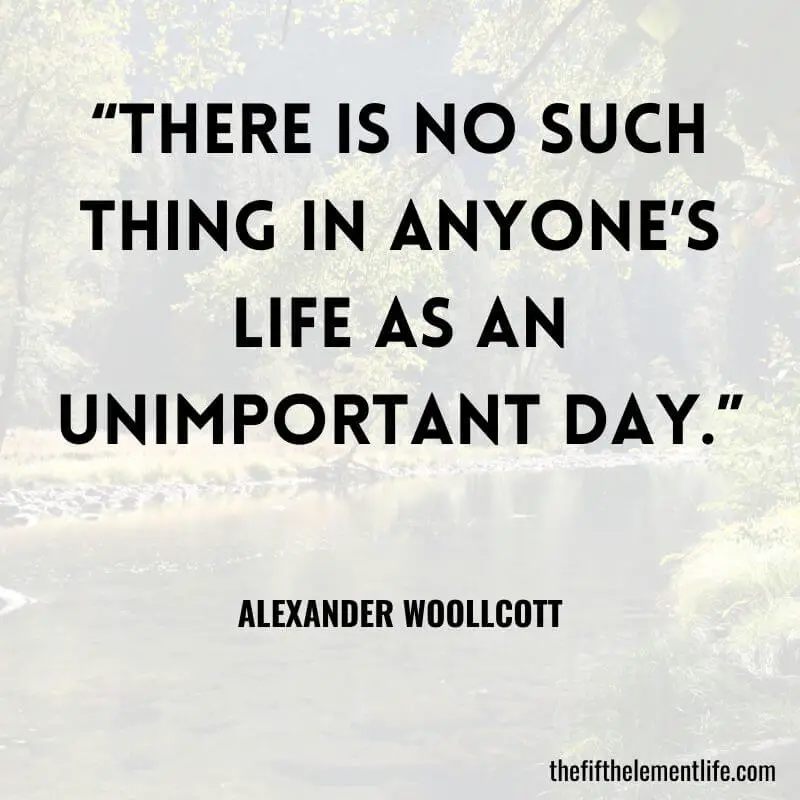“There is no such thing in anyone’s life as an unimportant day.” — Alexander Woollcott