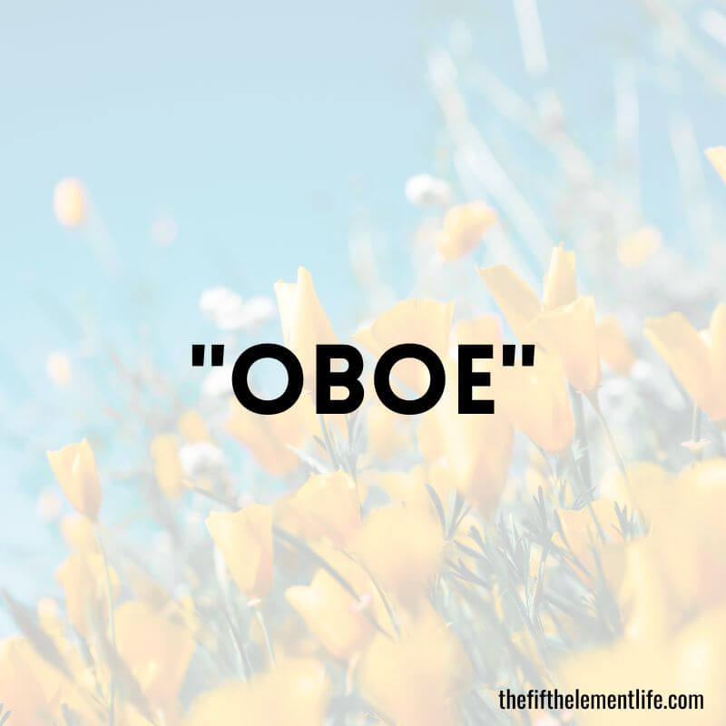 "Oboe" - Negative Words That Start With O