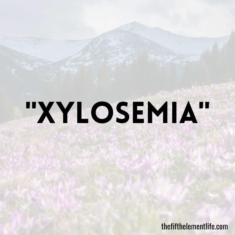 "Xylosemia" - Positive Words That Start With X