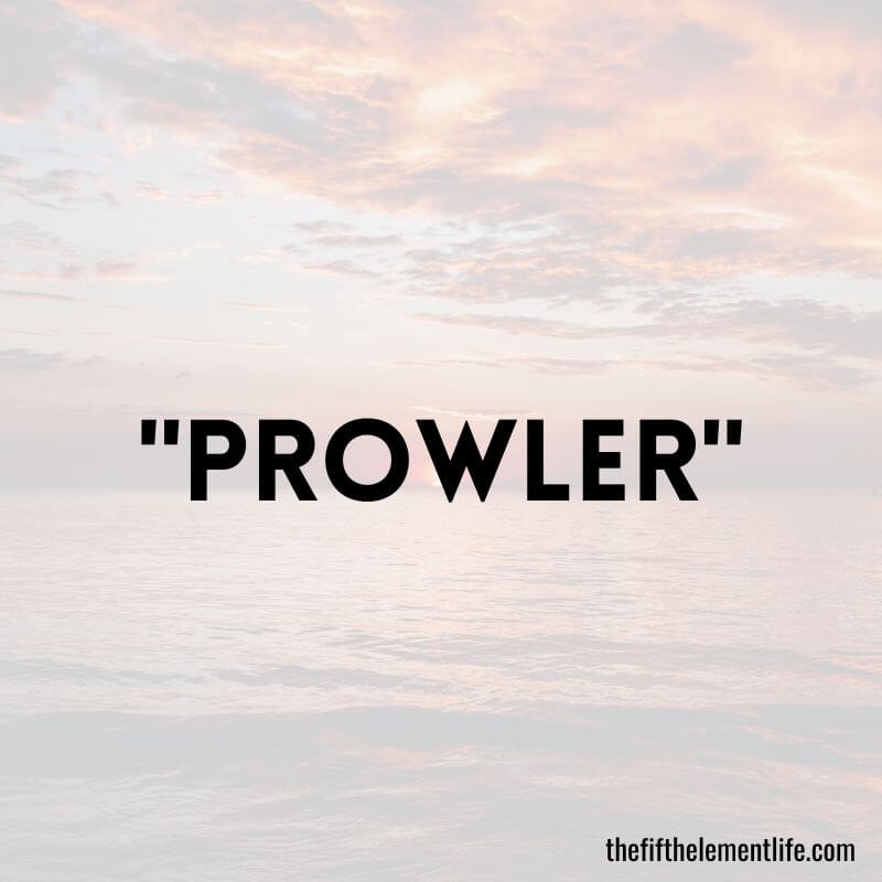 "Prowler"