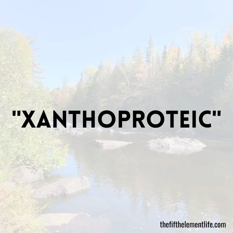"Xanthoproteic" - Positive Words That Start With X