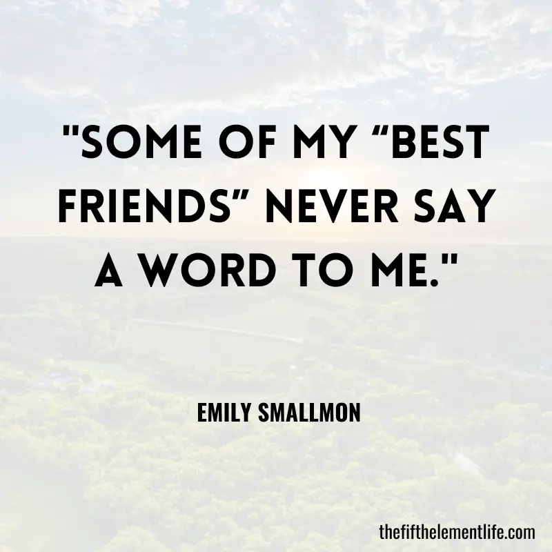 Fake Friendship Quotes For Finding Good One