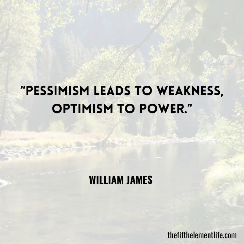 “Pessimism leads to weakness, optimism to power.” — William James 
