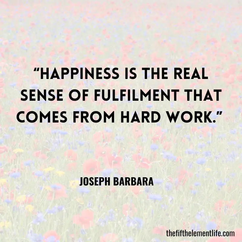“Happiness is the real sense of fulfilment that comes from hard work.” – Joseph Barbara - Daily Habit Quotes 