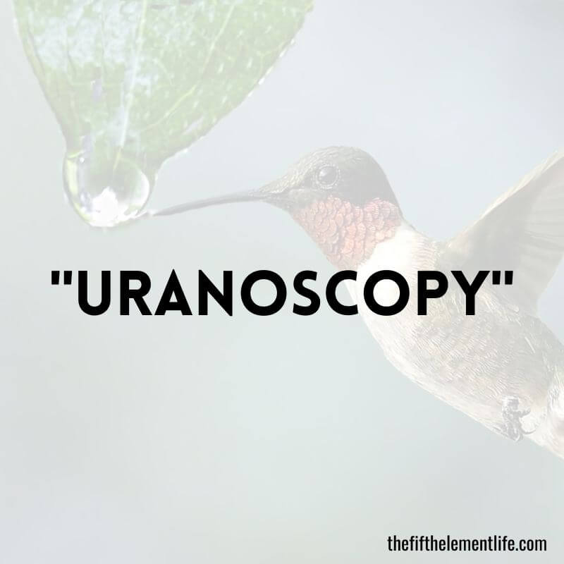 "Uranoscopy"