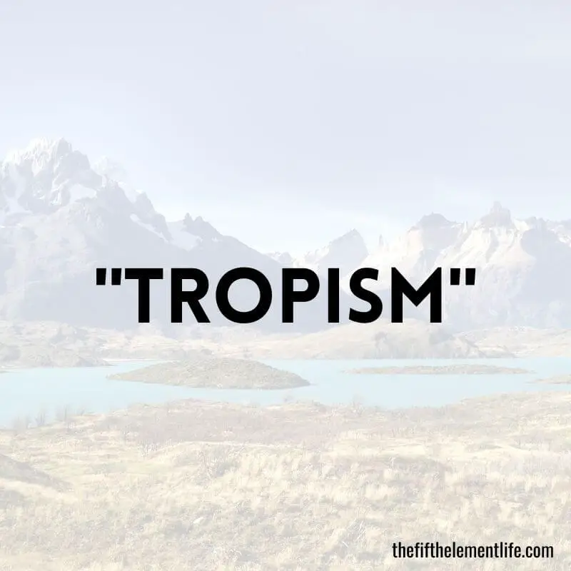 "Tropism"