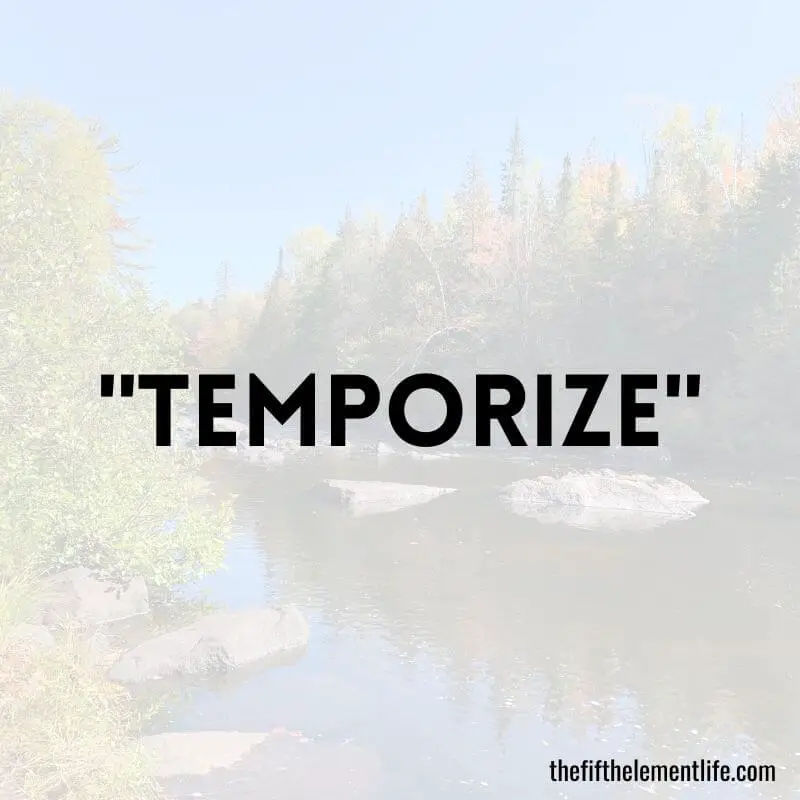 "Temporize"