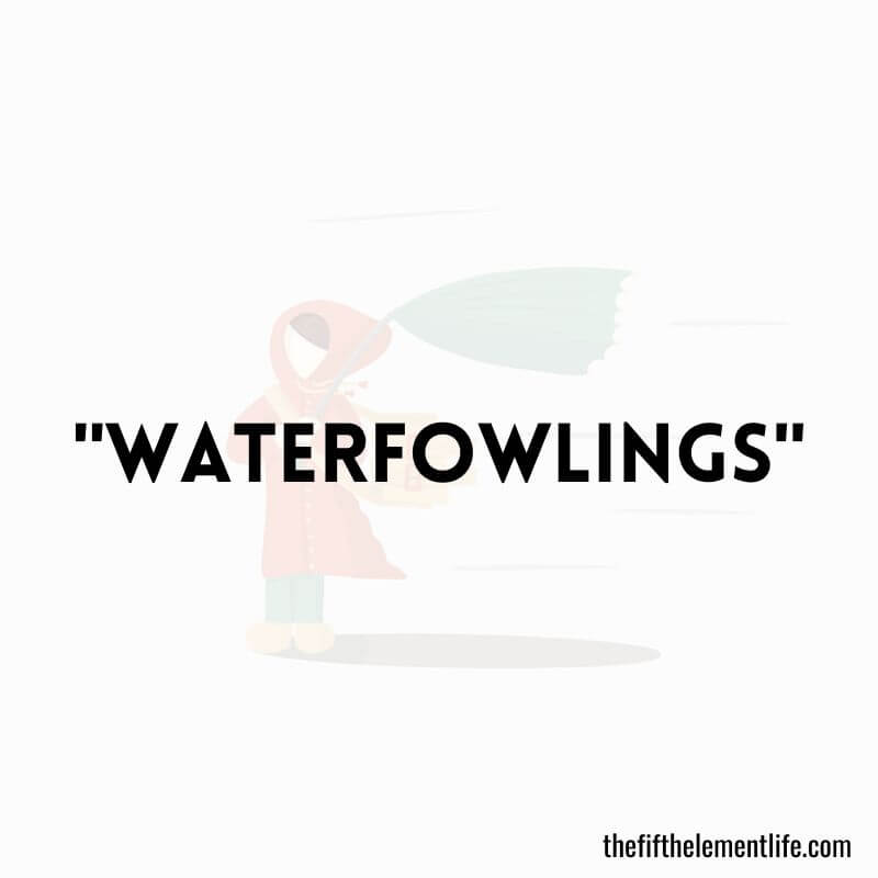 "Waterfowlings" - Negative Words That Start With W