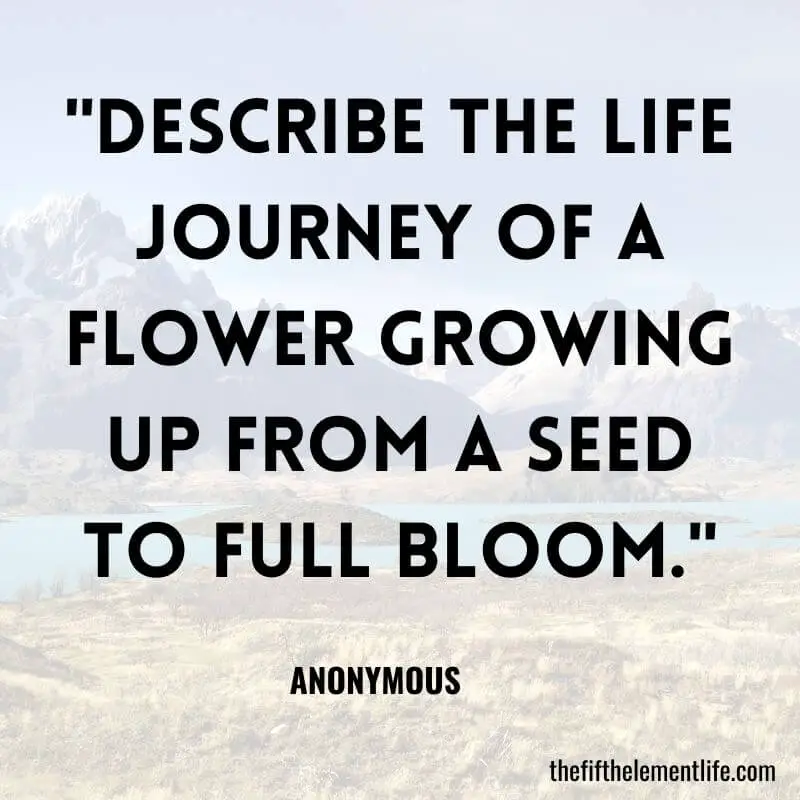 "Describe the life journey of a flower growing up from a seed to full bloom."