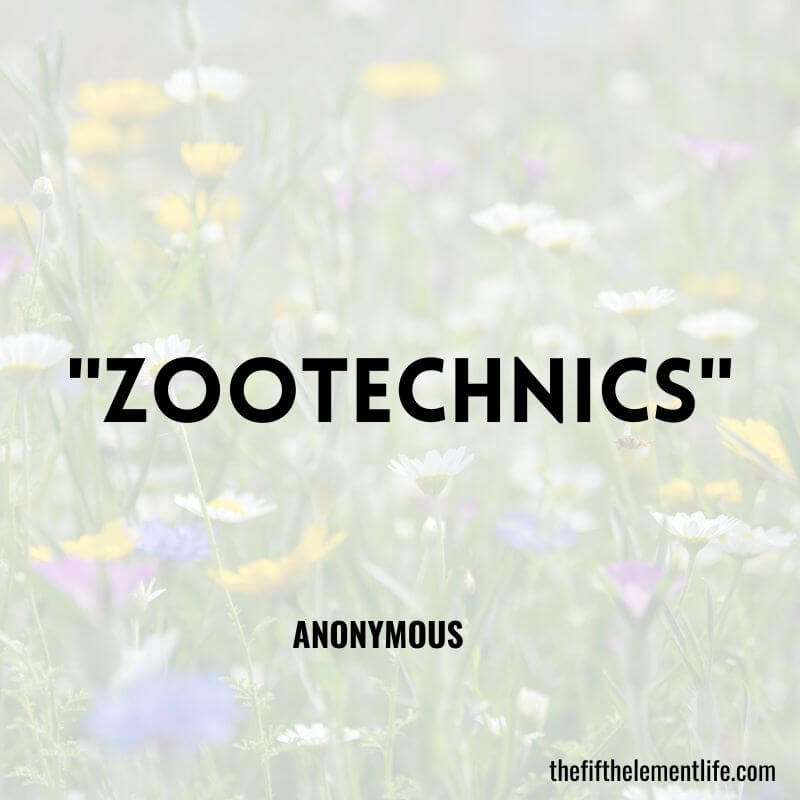 "Zootechnics"-Negative Words That Start With Z