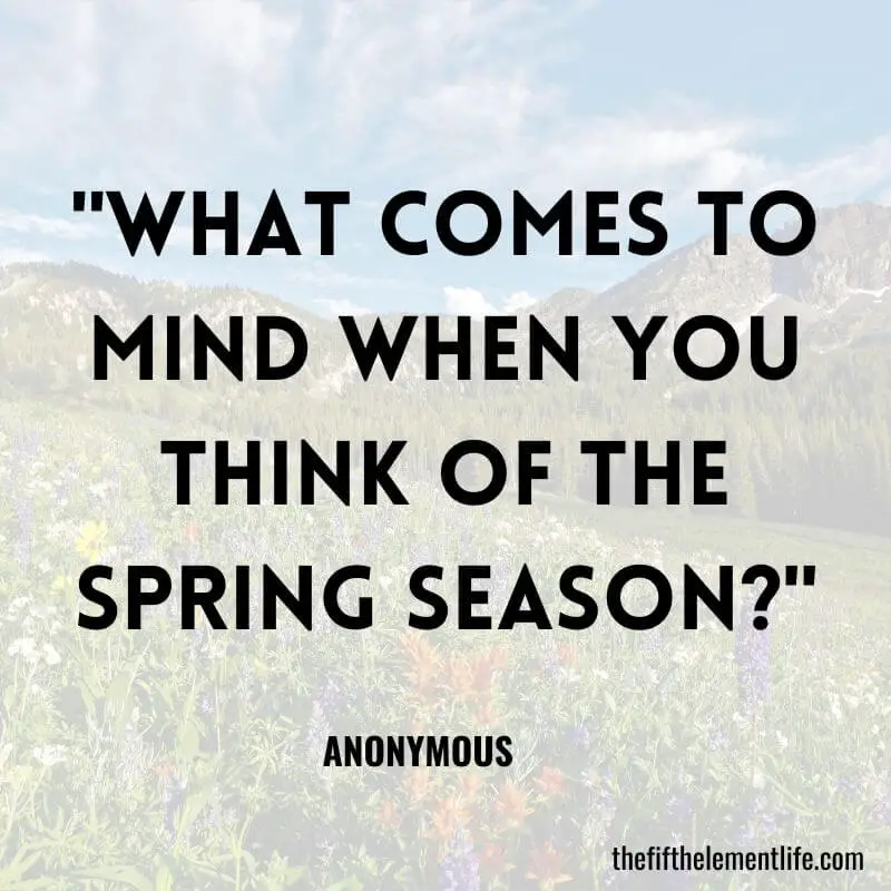 "What comes to mind when you think of the spring season?"