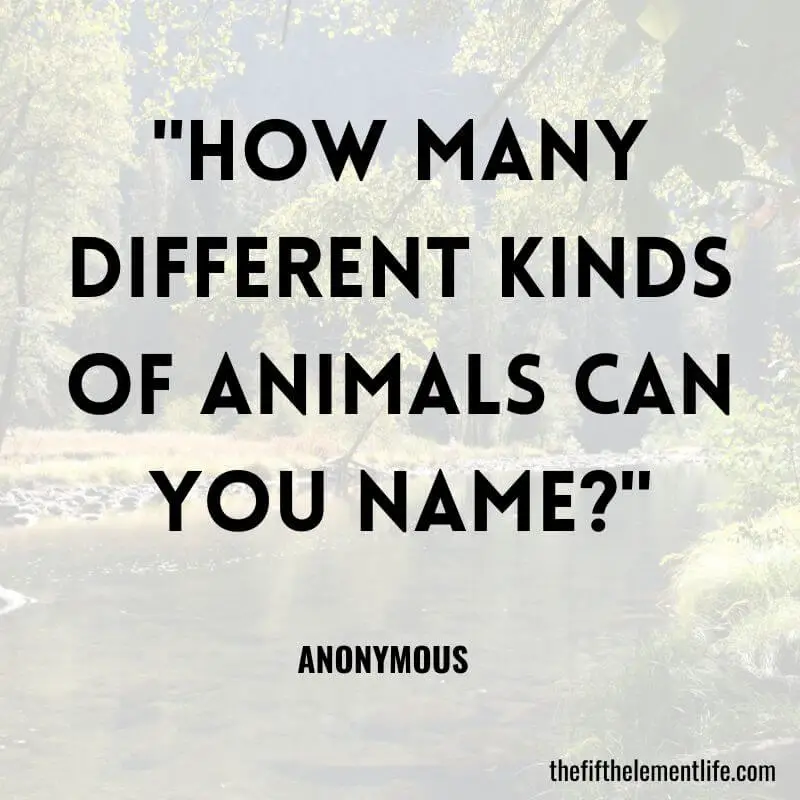 "How many different kinds of animals can you name?"