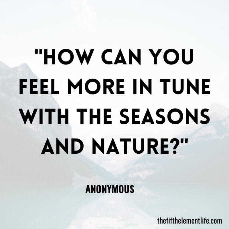 "How can you feel more in tune with the seasons and nature?"-Summer Journaling Prompts